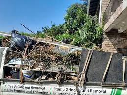 Best Shed Removal  in Streamwood, IL